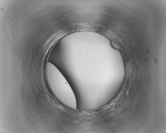 X0000060810290200511101043