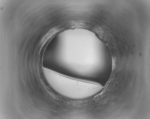 X0000060810291200511101043