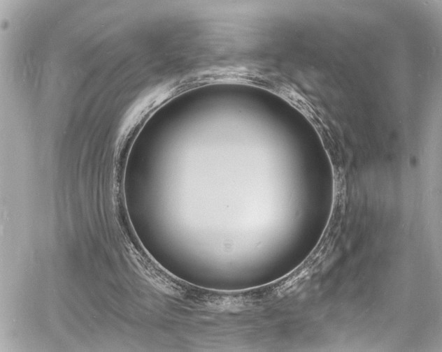 X0000060810293200511101043