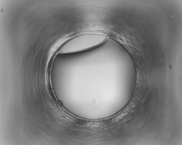 X0000060810294200511101043