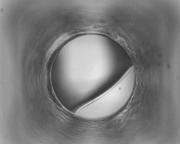 X0000060810295200511101043