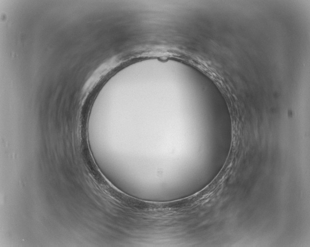 X0000060810296200511101043