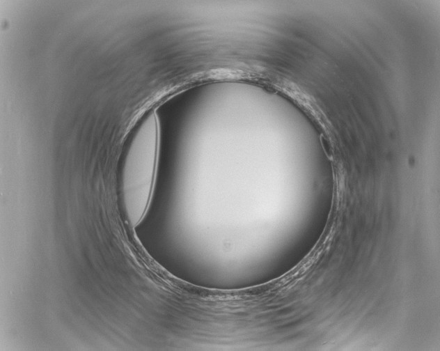 X0000060810297200511101043