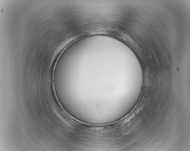 X0000060810298200511101043