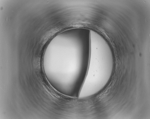 X0000060810299200511101043