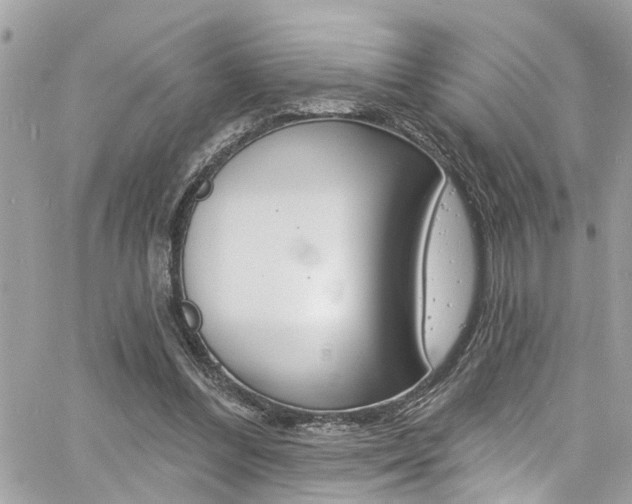 X0000060810300200511101043