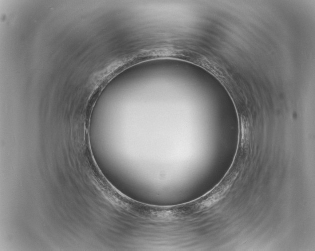 X0000060810301200511101043