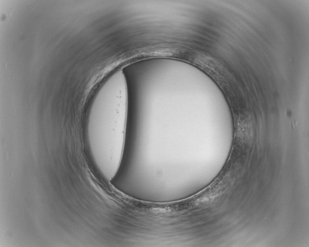 X0000060810302200511101043