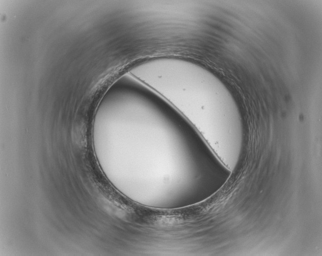 X0000060810303200511101043