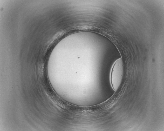 X0000060810304200511101043