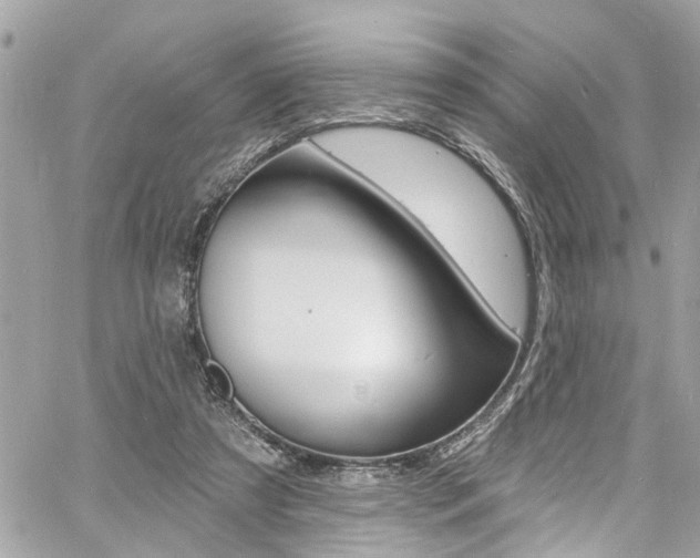 X0000060810305200511101043