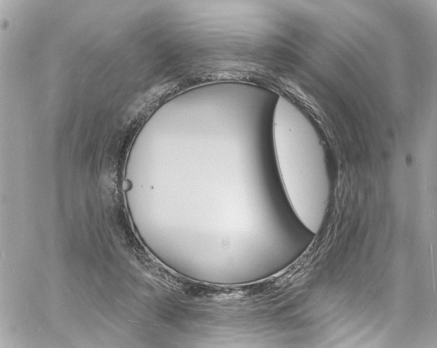 X0000060810306200511101043