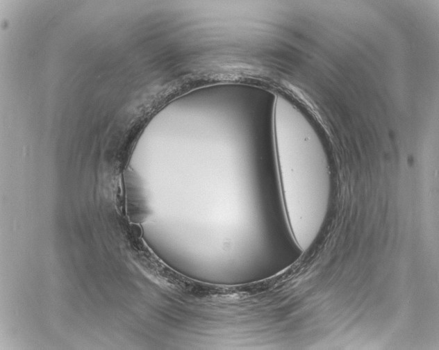 X0000060810307200511101043