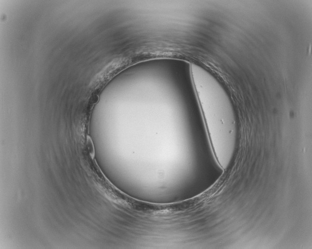 X0000060810309200511101043