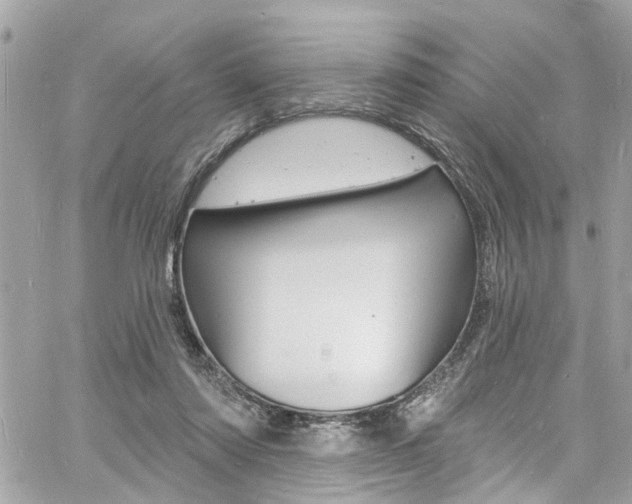 X0000060810310200511101043