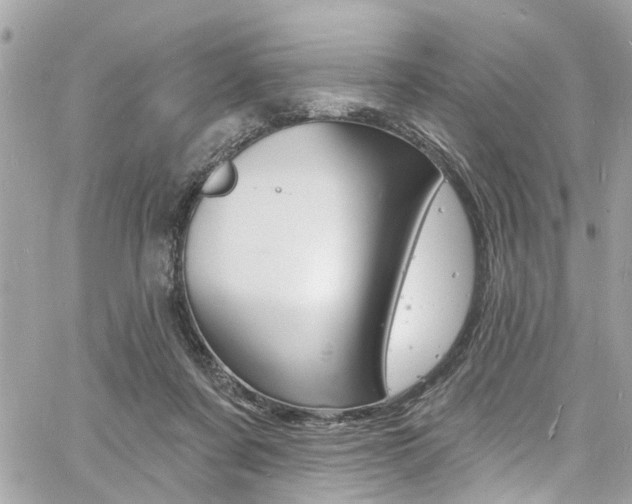 X0000060810311200511101043