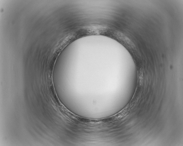 X0000060810314200511101043