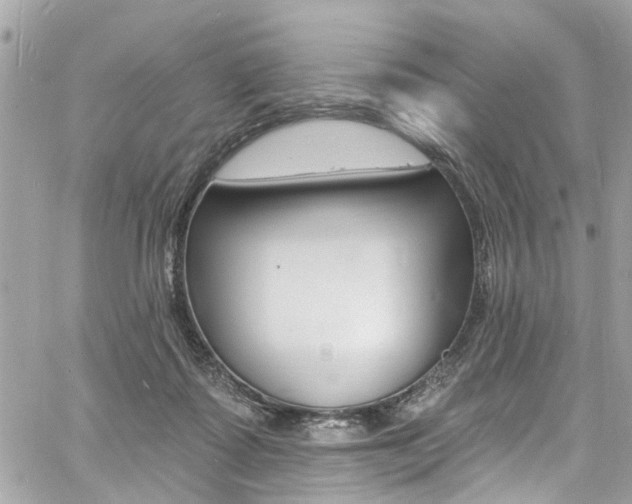 X0000060810315200511101043