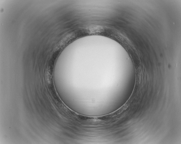 X0000060810316200511101043