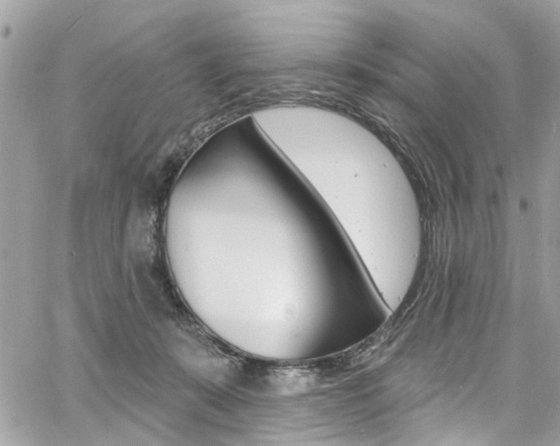 X0000060810319200511101043