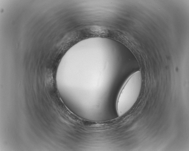 X0000060810320200511101043