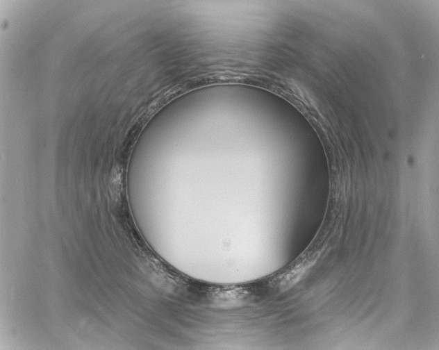 X0000060810321200511101043