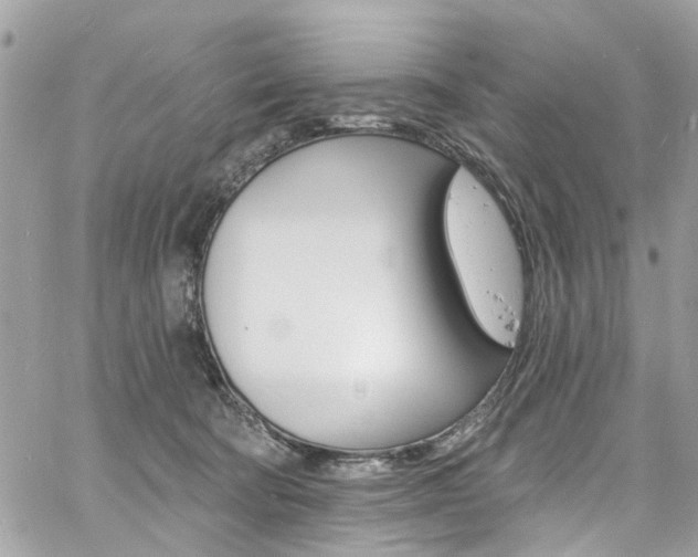 X0000060810322200511101043