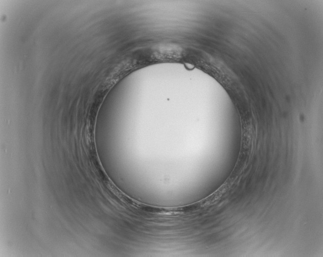 X0000060810323200511101042