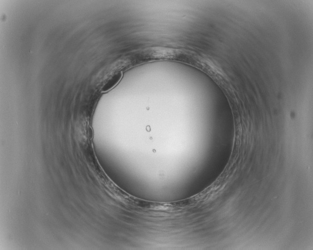 X0000060810325200511101042