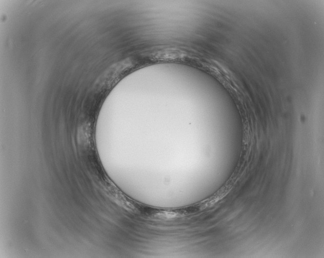 X0000060810326200511101042