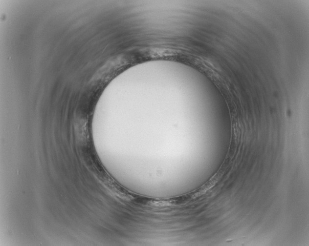 X0000060810327200511101042