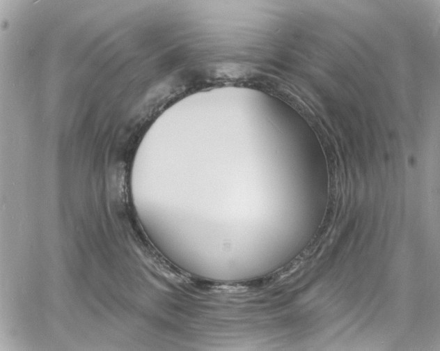 X0000060810328200511101042