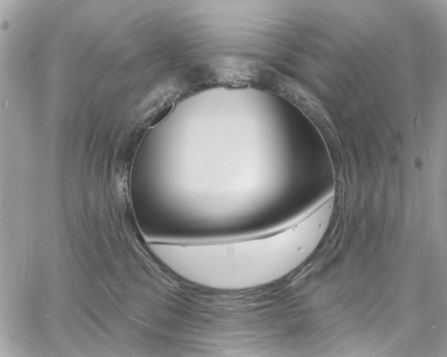 X0000060810329200511101042