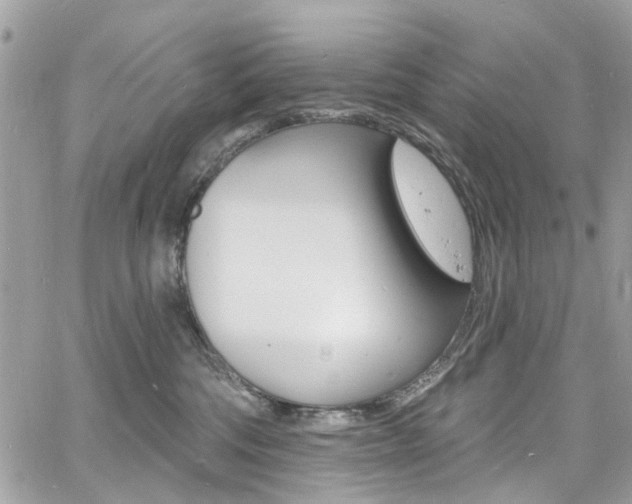 X0000060810330200511101042