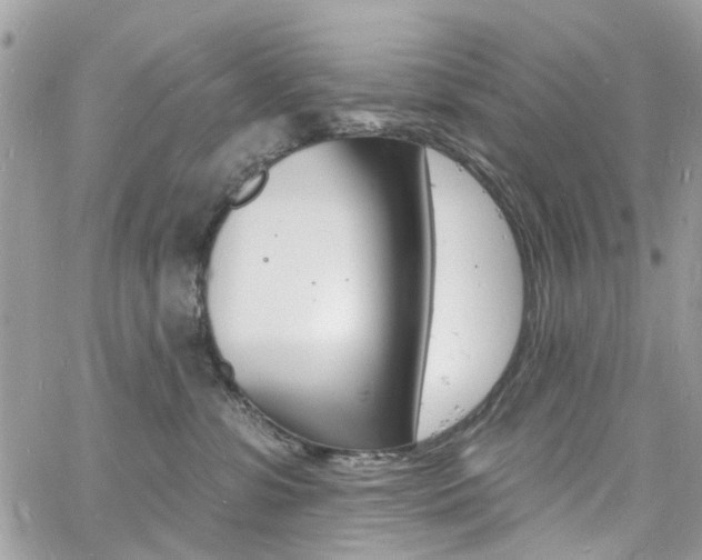 X0000060810331200511101042