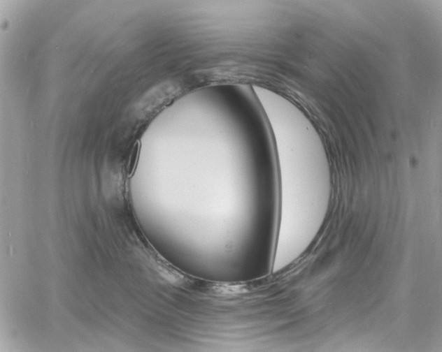 X0000060810333200511101042