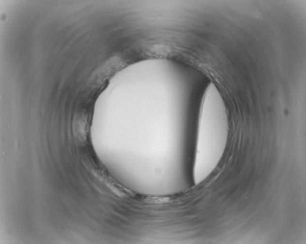 X0000060810334200511101042