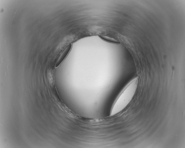 X0000060810335200511101042