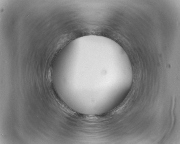 X0000060810336200511101042