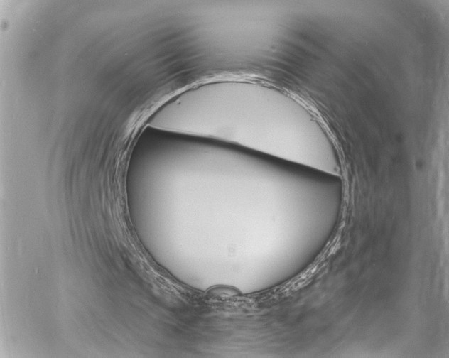 X0000060810337200511101041