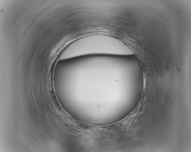 X0000060810339200511101042