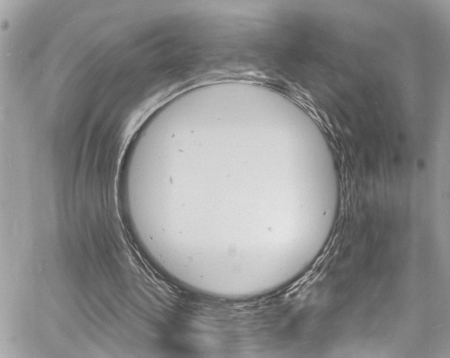 X0000060810340200511101042