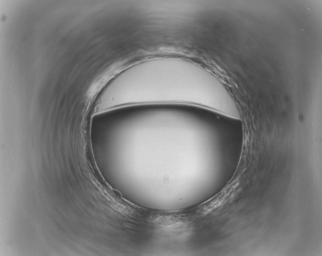 X0000060810341200511101042