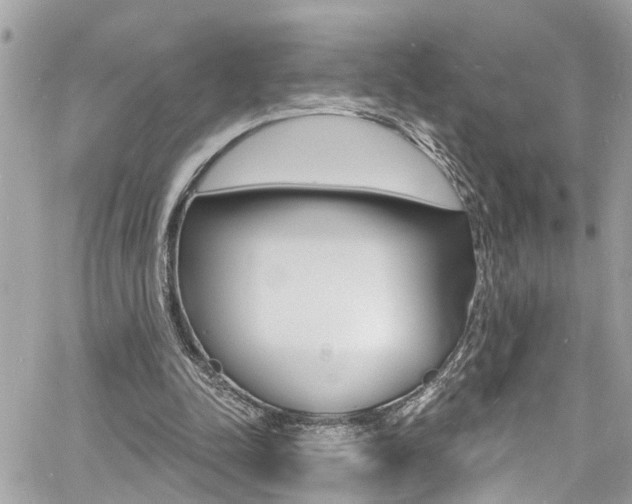 X0000060810342200511101042