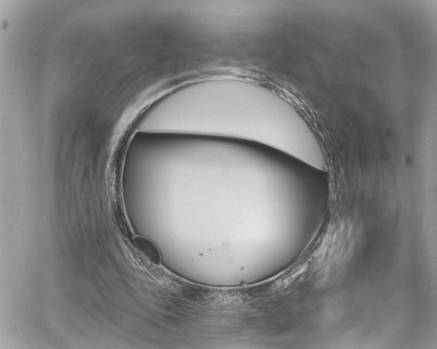 X0000060810343200511101042