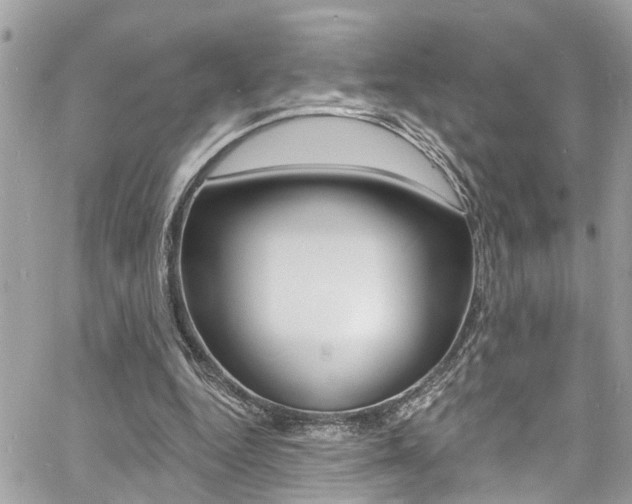 X0000060810344200511101042