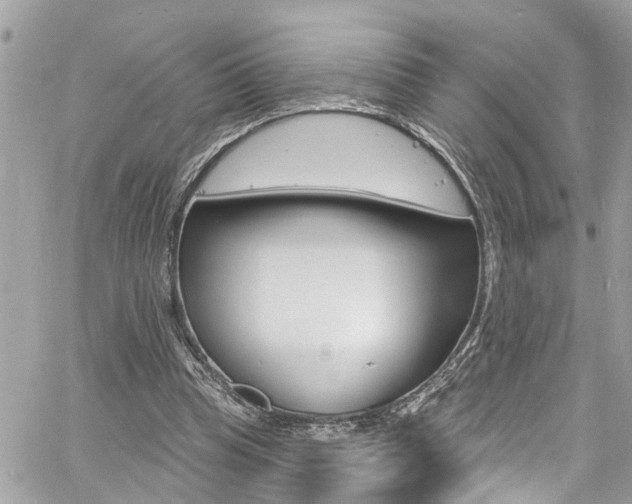 X0000060810345200511101042