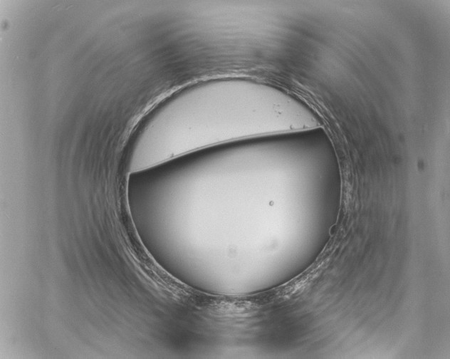 X0000060810346200511101042