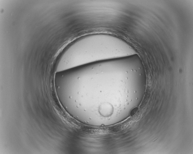 X0000060810347200511101042