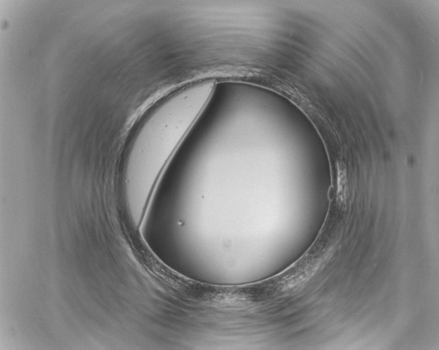 X0000060810348200511101042